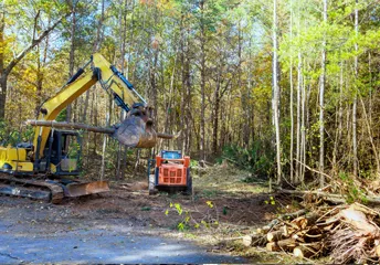 land clearing bakersfield ca